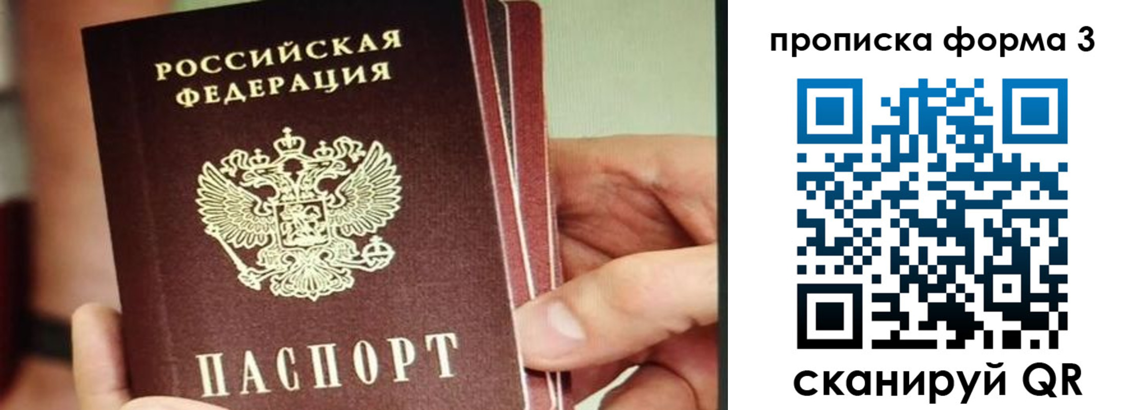 прописка законно в Красном Сулине